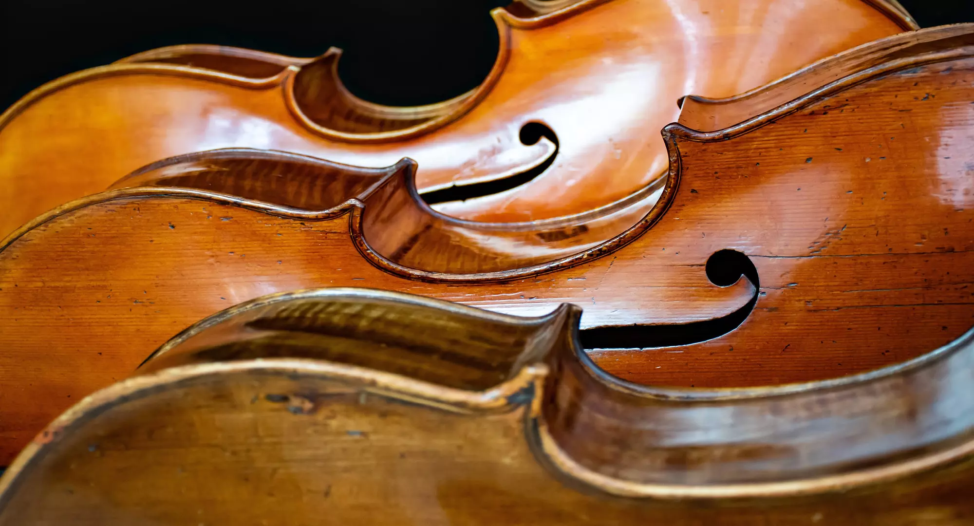 photo de violoncelles allongés les uns derrières les autres