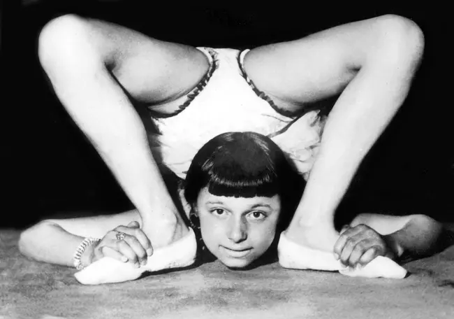 Le petit cirque