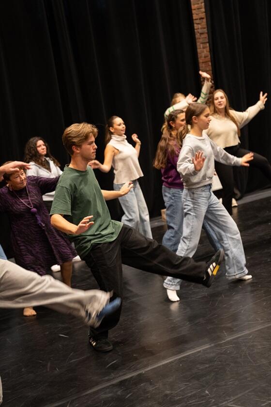 personnes de tous âges en train de suivre une initiation de danse avant un spectacle